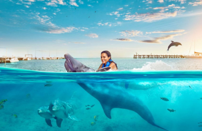 Extraordinary Yet Easy to Enjoy Vacation Experience - Swim with Dolphins